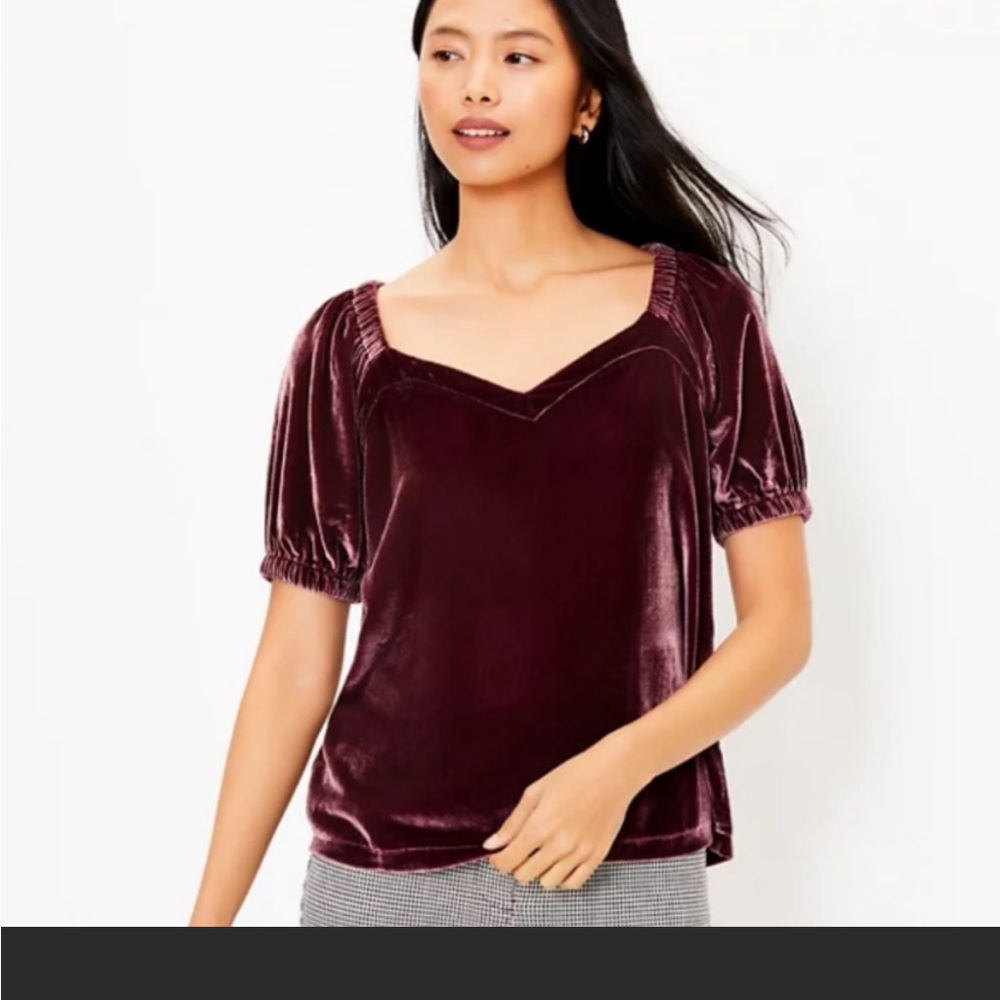Loft Puff Sleeve Velvet Top